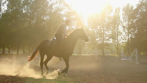 Young Man Taming Graceful Animal, Riding Horseback at Allure, Active Lifestyle