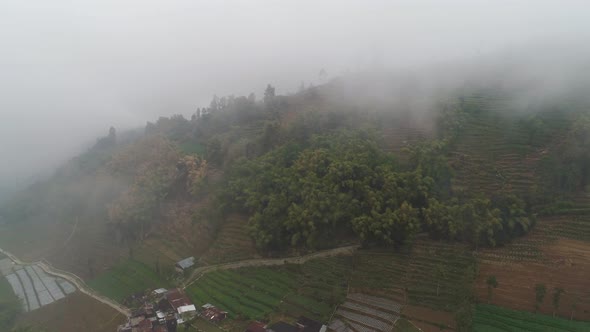 Tropical Landscape with Farmlands in Mountains