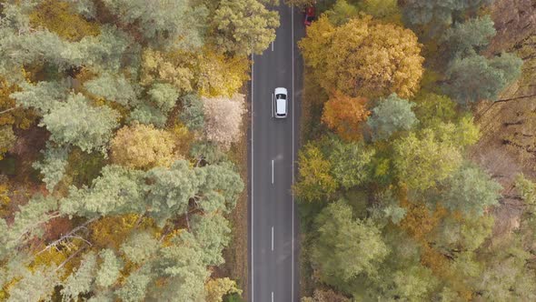 Car Riding Through Autumnal Rural Road