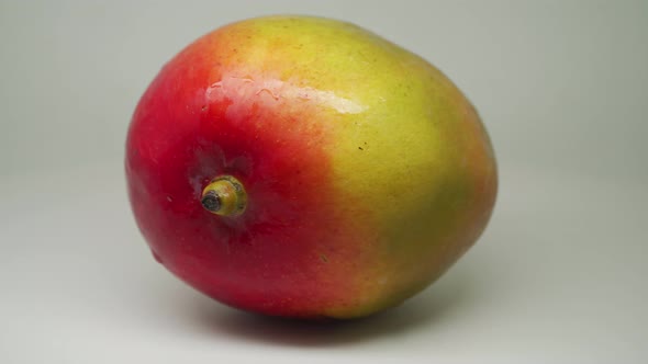 Beautiful And Totally Mouthwatering Freshly Picked Sweet Mango On The Table - Close Up Shot