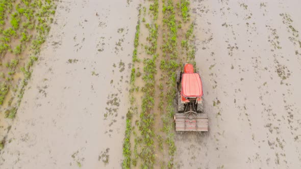 Farmer in Tractor Preparing Farmland