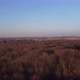 Fliyng with a drone over a bare forest at sunset in the Germany countryside - VideoHive Item for Sale