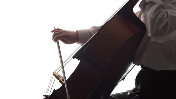 Playing cello side view double exposure. Elegant caucasian woman in white shirt gracefully play