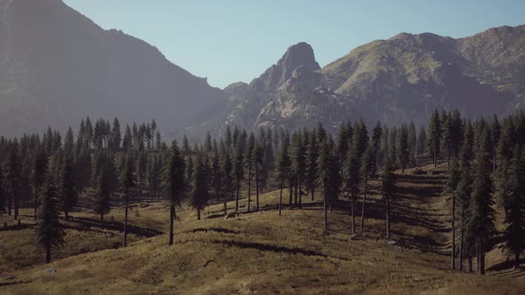 Landscape View of the Mountain Range with Trees in the Fall