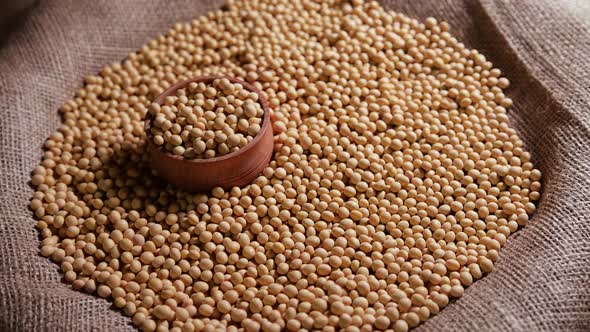 Soybeans in a Bag Readymade Raw Seed Material Natural Organic Protein Product Meat Substitute