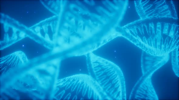 Structure of the DNA Double Helix Animation alt
