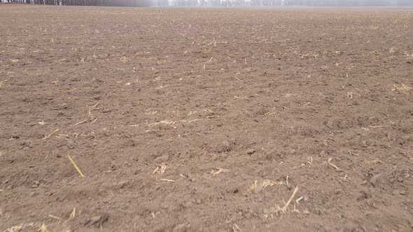 Land in a Plowed Field in Autumn