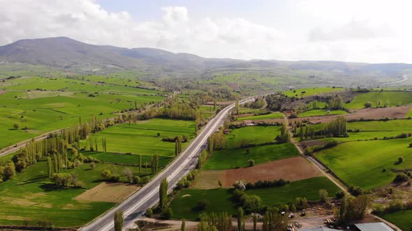 A Gorgeous Green Nature and Road