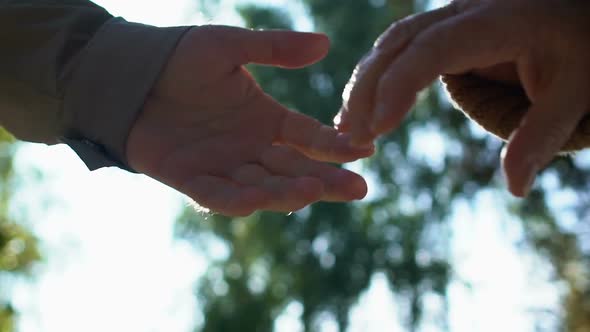 Aged Man and Woman Holding Hands Outdoors, Old Husband and Wife Closeness, Care