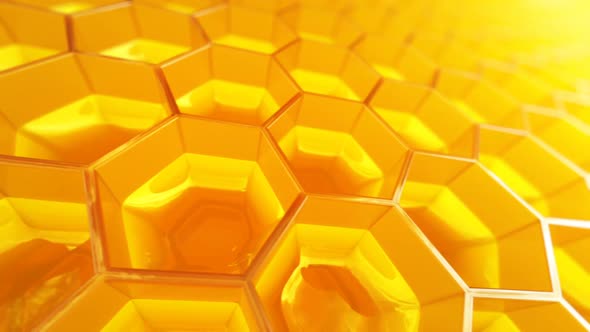 A fragment of the honeycomb with full cells closeup animation. Loopable. HD