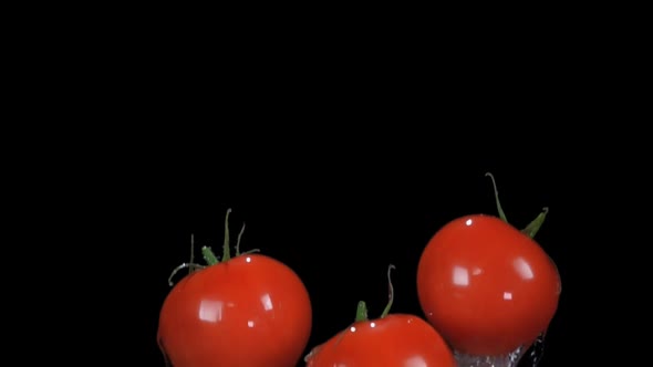 Small Red Cherry Tomatoes are Bouncing Up on Black Background with Water Splash