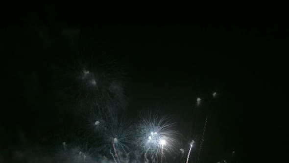 Colorful Firework display at night on sky background