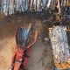 A Truck With Manipulator Loads Firewood Into A Shredder For Firewood - VideoHive Item for Sale