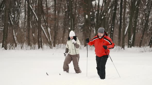 Couple Senior Man and Woman are Walking with Ski Poles and Looking Around Enjoying Nature in Forest