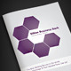 Billion Business Bank - 16 Pages Brochure - GraphicRiver Item for Sale