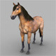 Realistic Muscular Horse - 3DOcean Item for Sale