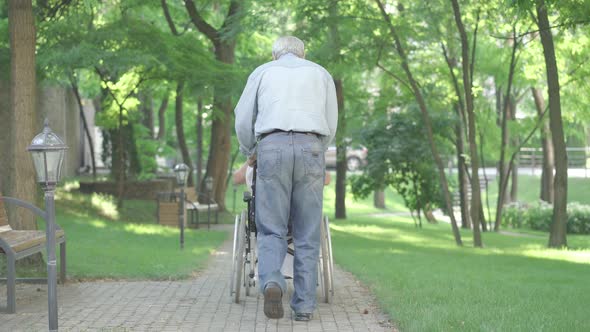 Back View of Old Man Running with Wheelchair Along the Alley As Happy Disabled Woman Stretching