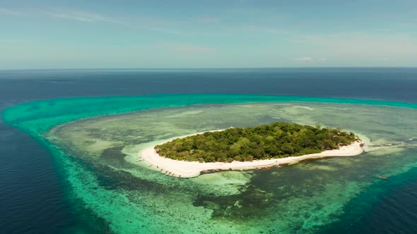 Tropical Island with Sandy Beach