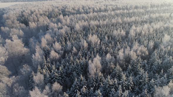 Winter Landscape Countryside