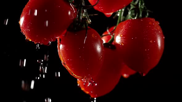 Cherry Tomatoes with Water Splash at a Dark Background