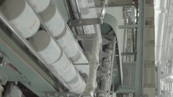 Conveyor in a Paper Mill