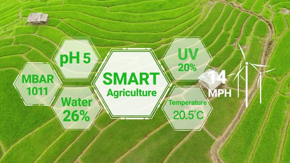Smart digital agriculture technology by futuristic sensor data collection