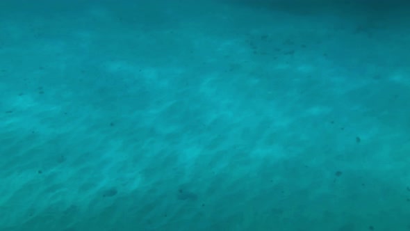 Sun dances along the sandy bottom as we prepare to snorkel the reef system