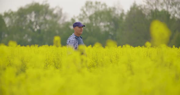 Farmer Examining Agriculture Field on Farm