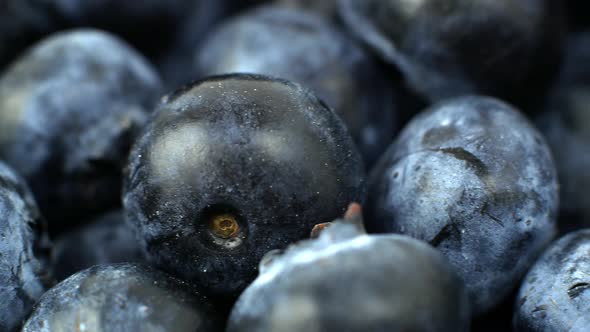 Close-up shot of blueberry berry motion. Slider blueberry