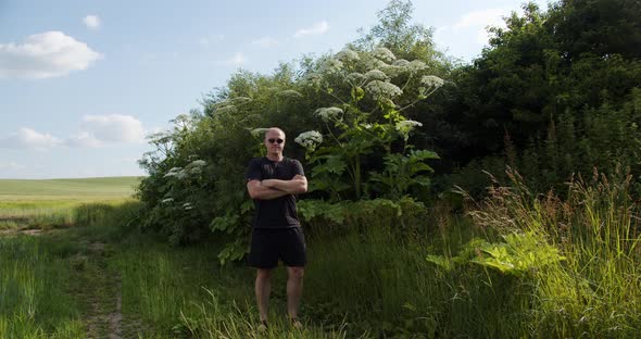 Tall Hogweed Flower   A Dangerous Plant. Compared To Human Growth