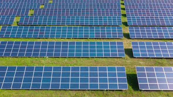 Flight Over a Field of Solar Panels in Sunny Summer Day