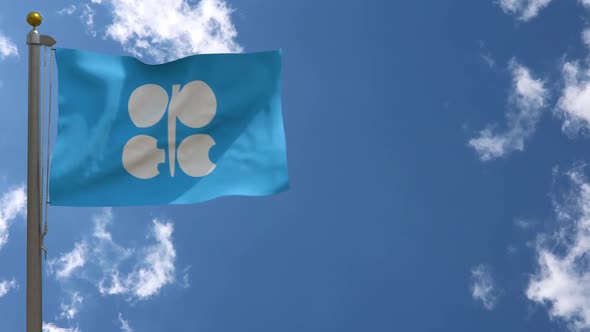 Opec Flag On Flagpole