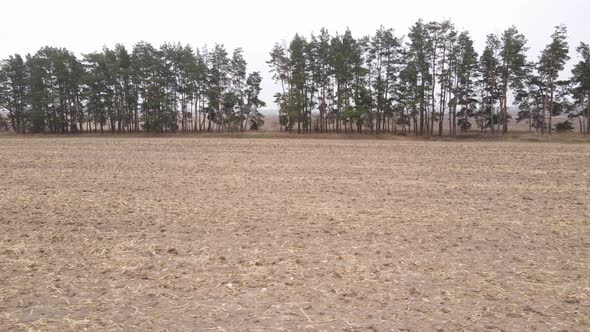 Land in a Plowed Field in Autumn