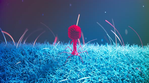 Bacteriophage of phage on bacterium surface. Antibiotic alternative. Medicine.