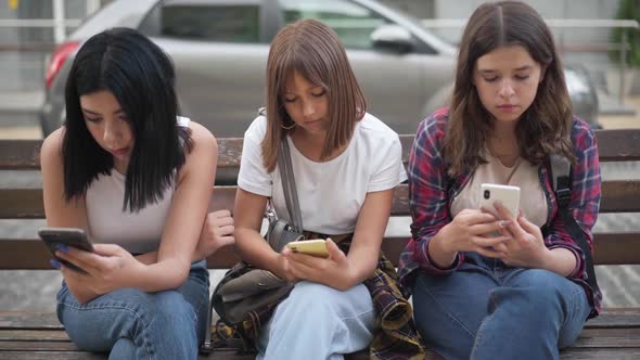 Front View Portrait of Three Absorbed Teenage Girls Surfing Social Media in Smartphone Apps Sitting
