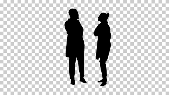 Silhouette Female and male doctor, Alpha Channel