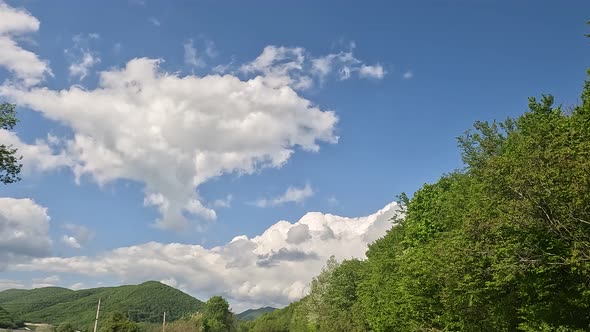 Beautiful time lapse spring nature.