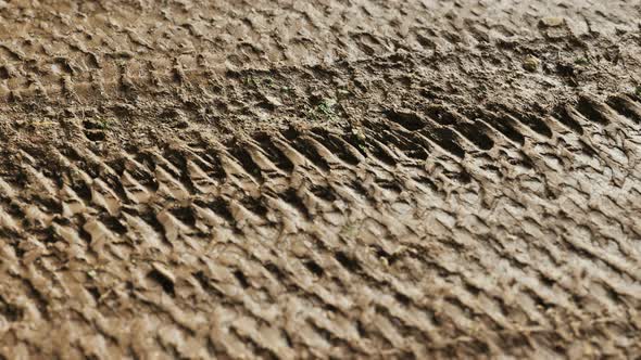 Wheel Tracks on Rough Road alt