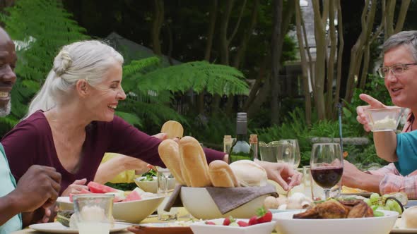 Animation of diverse happy senior female and male friends eating lunch in garden