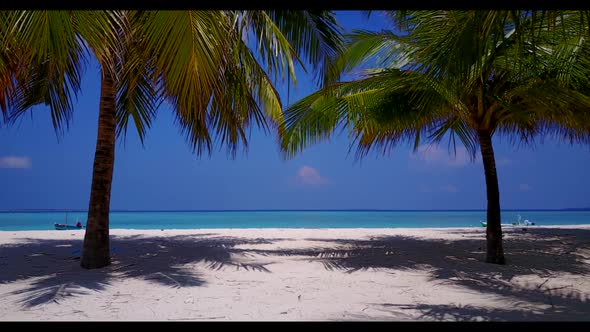 Aerial drone texture of perfect island beach time by aqua blue lagoon and clean sandy background of 