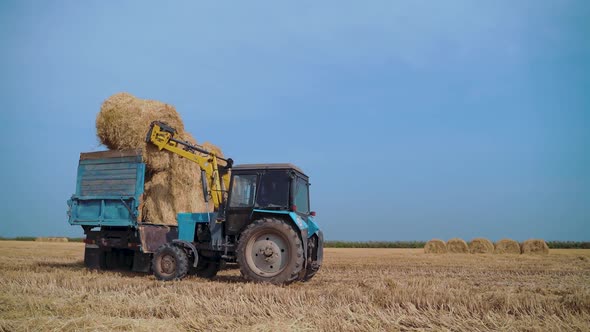 Tractor Machine Loading Hay Bales Truck Trailer During Agriculture Works