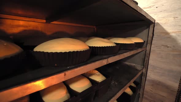 Jars for loaves of raw bread in bakery