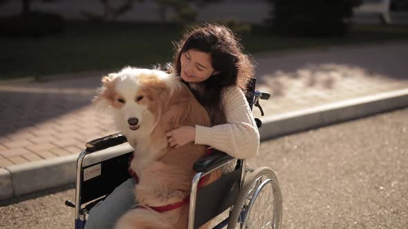 Pretty Disabled Invalid Asian Girl Sitting on Wheelchair and Petting a Guide Dog While Riding on