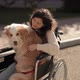 Pretty Disabled Invalid Asian Girl Sitting on Wheelchair and Petting a Guide Dog While Riding on - VideoHive Item for Sale