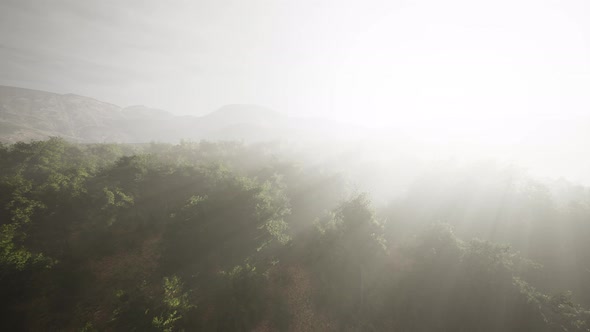 Aerial View Drone Shot of Mountain Tropical Rainforest