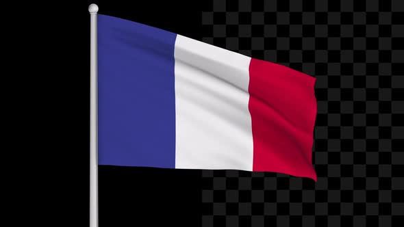 France Flag Loop