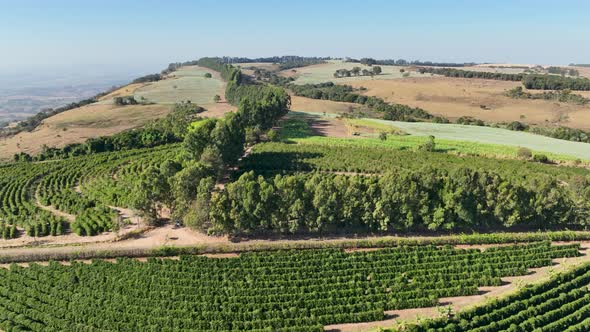 Rural countryside scenic aerial landscape. Countryside scenery.