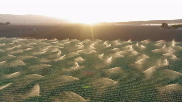 Summer Harvest Season. Countryside Landscape with Sunset Over the Horizon. 