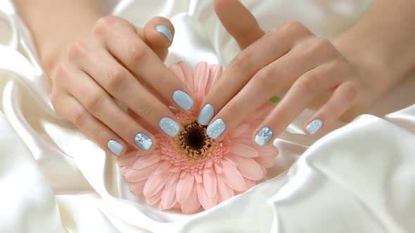 Female Hands Gently Caress Gerbera Flower.