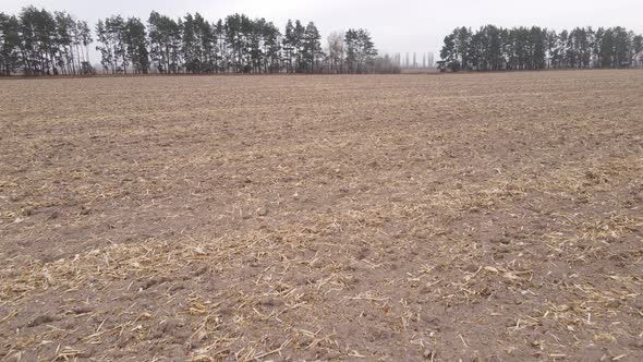 Land in a Plowed Field in Autumn